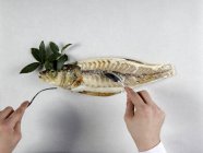 Chef filleting baked sea bass — Stock Photo