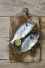 Raw Sea breams with herbs and lime — Stock Photo