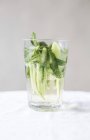 Gin and tonic with cucumber slices — Stock Photo