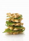 Waffles vegan com folhas de alface — Fotografia de Stock