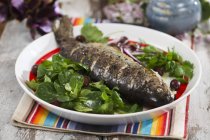 Ven-baked trout with olives — Stock Photo