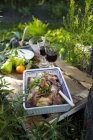 Elevated view of braised chicken with red wine and tarragon — Stock Photo