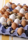 Brown with white eggs and quail eggs — Stock Photo