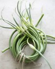 Closeup view of garlic scapes tied in a circle — Stock Photo