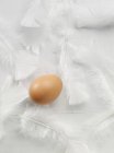 Fresh chicken egg and feathers — Stock Photo