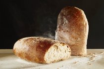 Gebackenes braunes Brot — Stockfoto