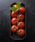 Свежие помидоры с листьями — стоковое фото