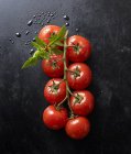 Tomates frescos e folhas — Fotografia de Stock