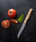 Дві свіжі помідори — стокове фото