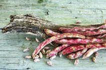 Raw Borlotti beans — Stock Photo