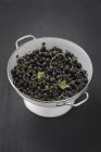 Bowl of Blackcurrants in a colander — Stock Photo