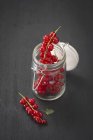 Ribes rosso in vaso flip-top — Foto stock