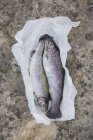 Fresh trouts on piece of paper — Stock Photo