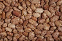 Organic pinto beans — Stock Photo