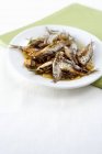 Sardine ripiene con rosmarino — Foto stock