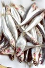 Anchovies in heap on plate — Stock Photo