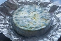 Голубой сыр с пенициллием — стоковое фото
