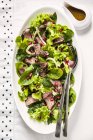 Салат из оленины и фенхеля с семенами граната — стоковое фото