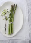 Fascio di asparagi e fiori di melo — Foto stock