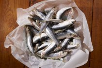 Fresh sardines on piece of paper — Stock Photo