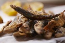 Sardine fritte in mucchio — Foto stock