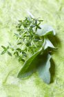 Sprigs of thyme and sage — Stock Photo