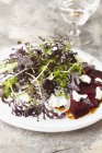 Восточный меслунский салат — стоковое фото