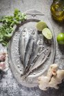 Raw sardines on silver tray — Stock Photo