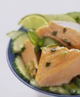 Poached salmon on cucumber salad — Stock Photo