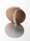 Uovo sodo spaccato — Foto stock
