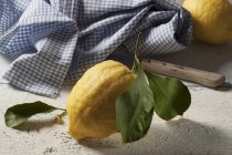 Frische Zitrone mit Blättern — Stockfoto