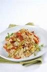 Closeup view of Risotto with rabbit and peppers — Stock Photo