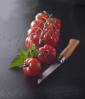 Mini tomates poivrées — Photo de stock