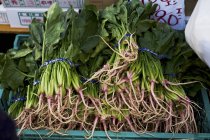 Grappoli di spinaci freschi — Foto stock