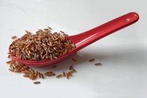 Неприготовленный красный рис — стоковое фото