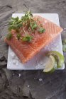 Raw salmon fillet with herbs — Stock Photo