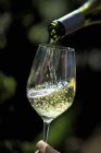 Vinho branco derramando de garrafa — Fotografia de Stock