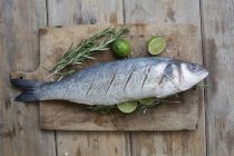 Steamed branzini fish with limes and rosemary — Stock Photo