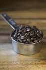 Frische Kaffeebohnen — Stockfoto