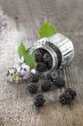Blackberries in overturned jar — Stock Photo