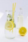Frische Limonade mit Pfefferminze — Stockfoto