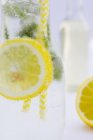 Свіжий лимонад з м'ятою — стокове фото