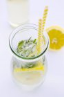 Fresh lemonade with peppermint — Stock Photo