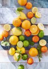 Citrus fruits whole and sliced — Stock Photo