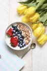 Müsli mit Joghurt, Blaubeeren und Erdbeeren — Stockfoto