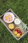 Daytime view of yoghurt with fruit and drinks on wooden tray on grass — Stock Photo