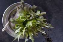 Small head of lettuce — Stock Photo