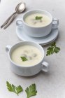 Crema di zuppa di asparagi — Foto stock