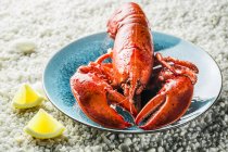 Closeup view of cooked lobster with lemon on gravel — Stock Photo