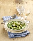Sopa de verduras verdes - foto de stock
